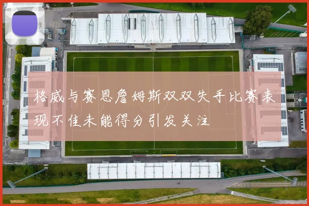 格威与赛恩詹姆斯双双失手比赛表现不佳未能得分引发关注
