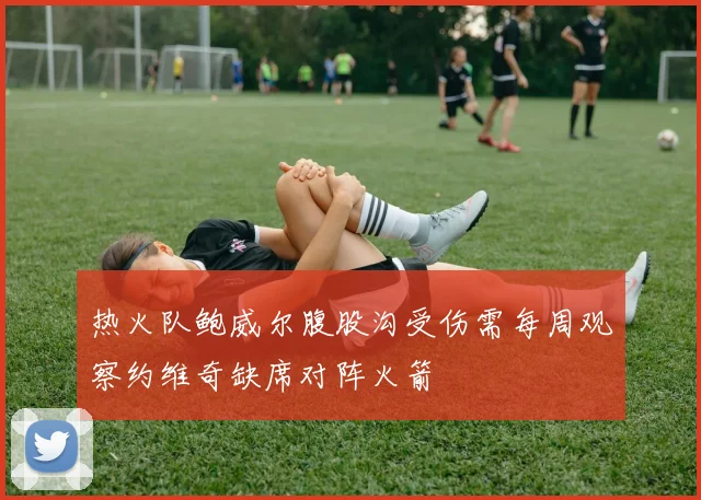 热火队鲍威尔腹股沟受伤需每周观察约维奇缺席对阵火箭